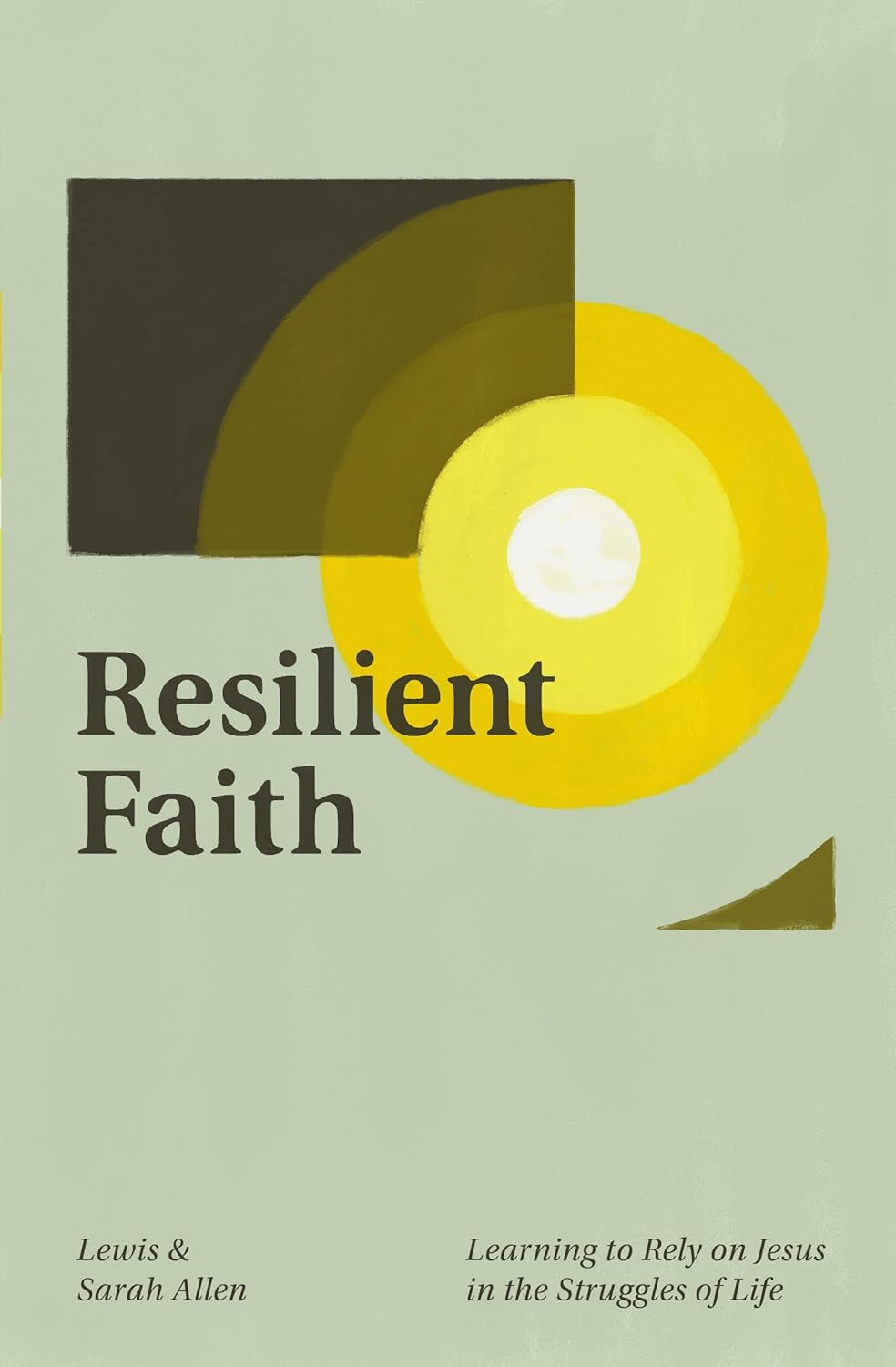 Best Faith-Based Resource, Unique Guide for Resilient Faith, Special Christian B...