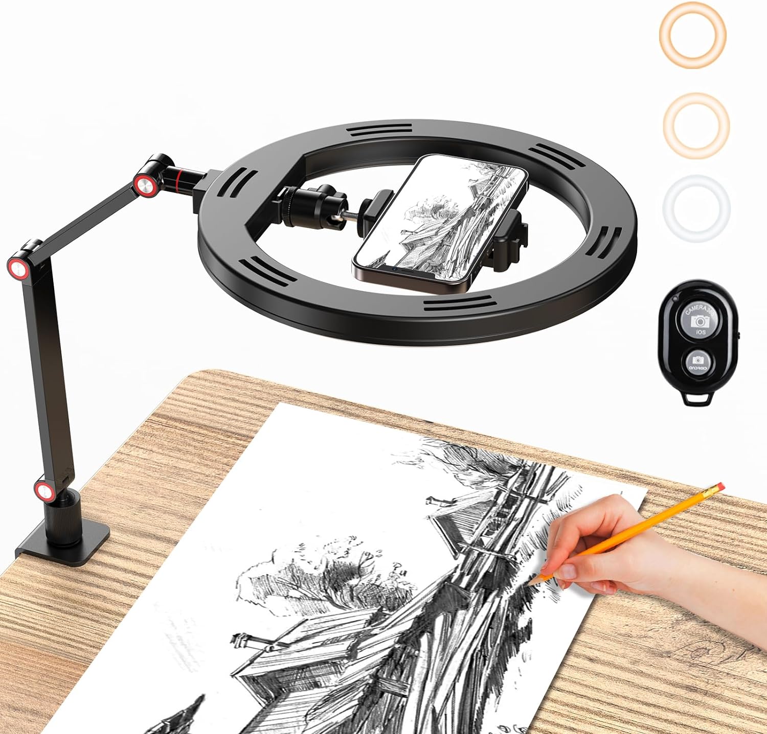 Best APEXEL Ring Light, Unique 10" Ring Light for Desk with Stand and Phone Hold...