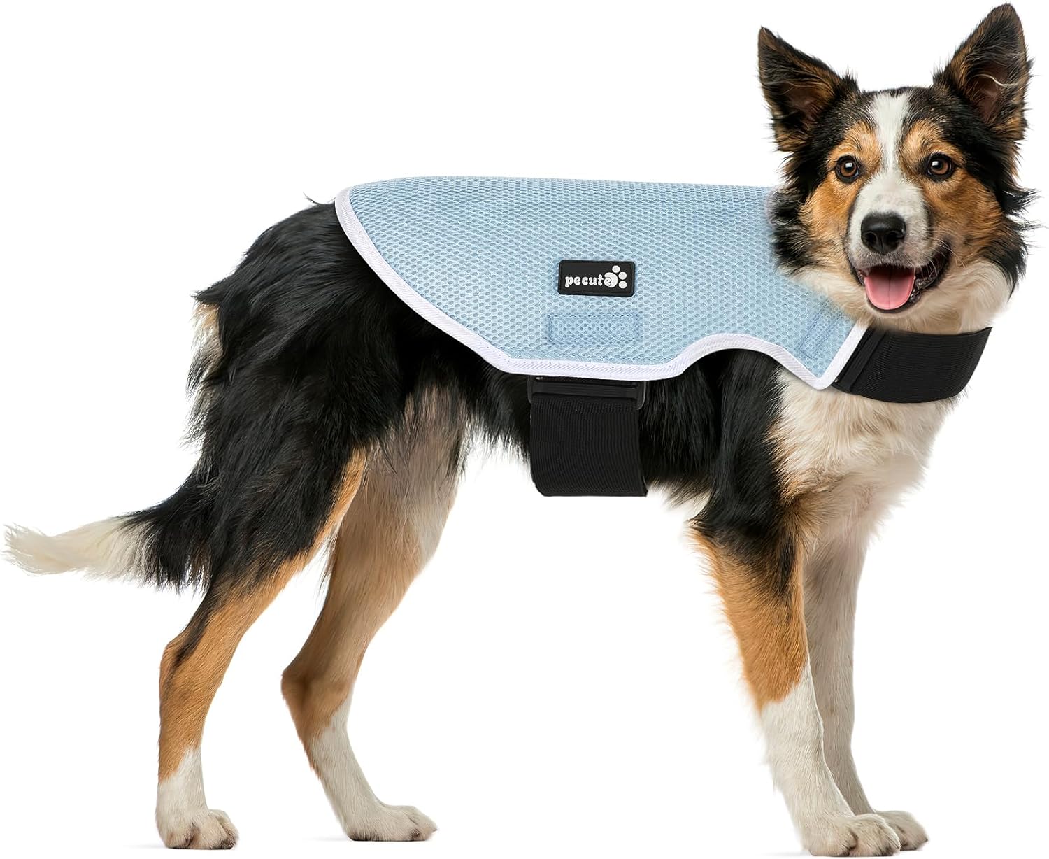 Pecute Dog Cooling Coat, Summer Cooling Vest for Puppy Sun Protection, 5 Layer E...