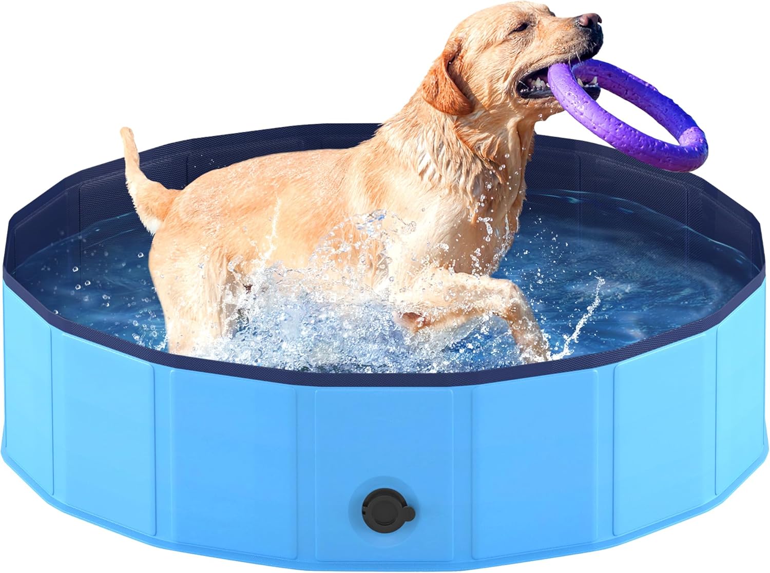 Niubya Foldable Dog Pool, Collapsible Hard Plastic Dog Swimming Pool, Portable B...