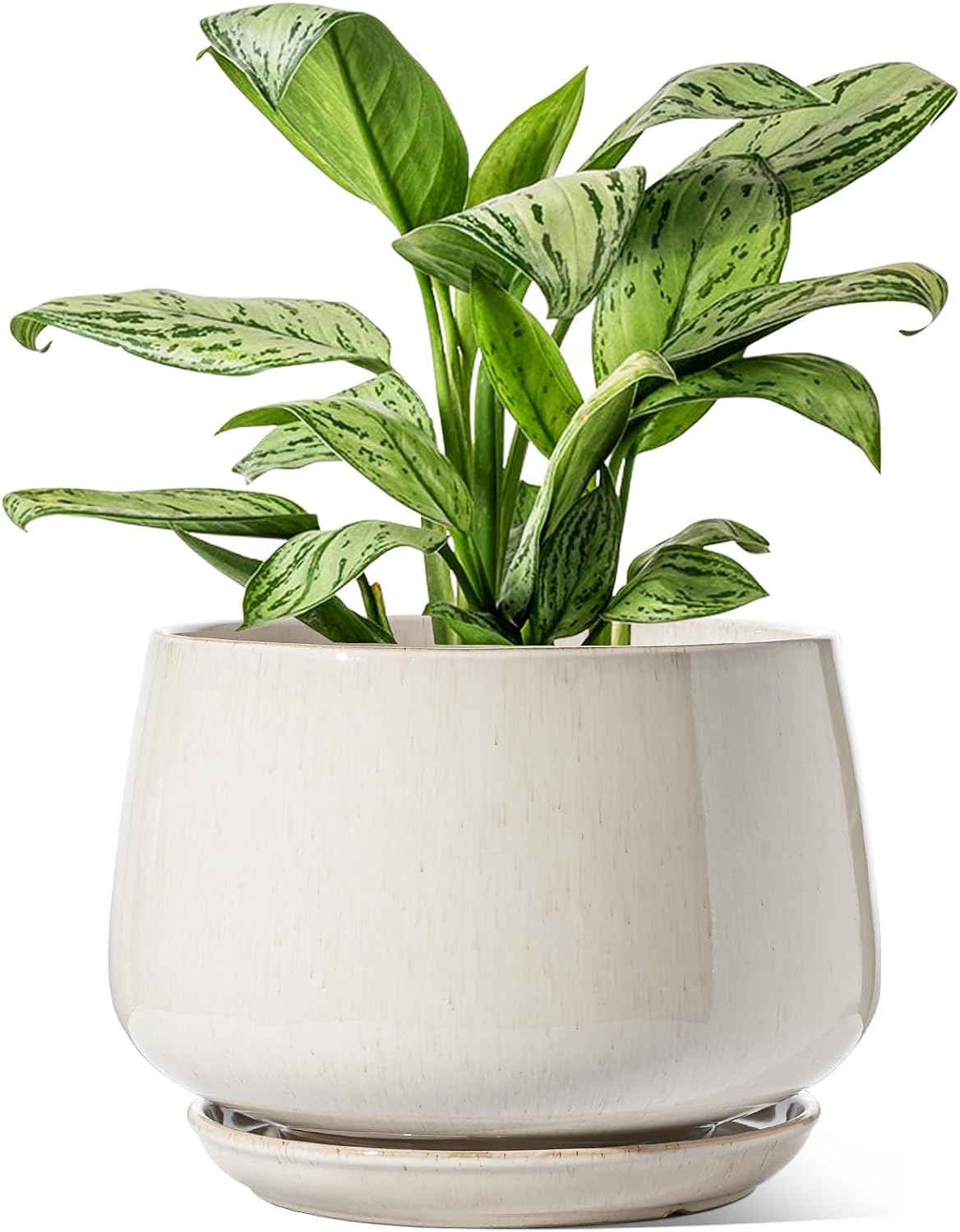 LE TAUCI Ceramic Planters, 12 Inch Pots for Plants, Indoor Plant Pots with Drain...