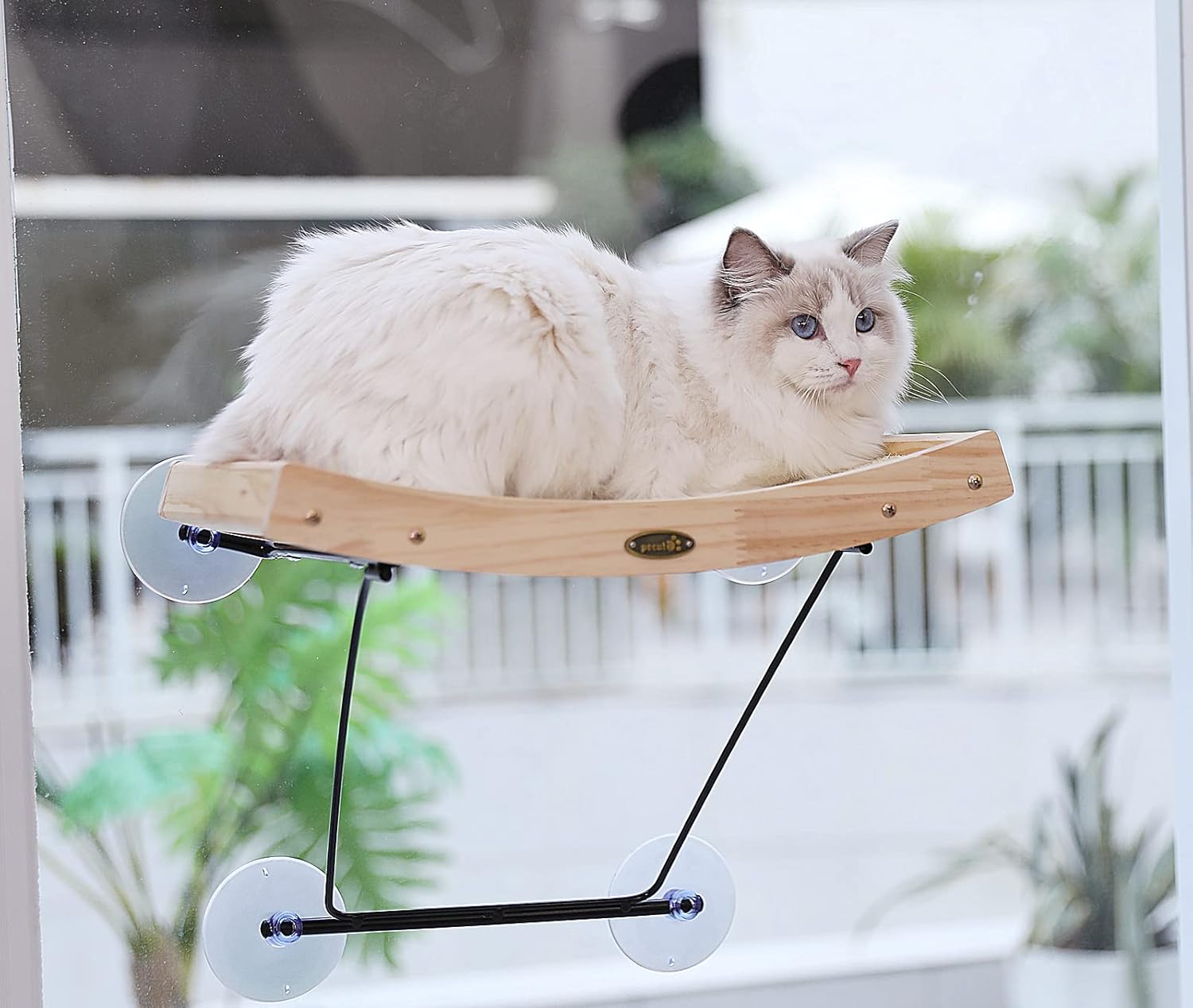 pecute 2 in 1 Cat Window Bed - Sunny Seat + Sisal Cat Scratcher, 42x30cm Cats Ha...