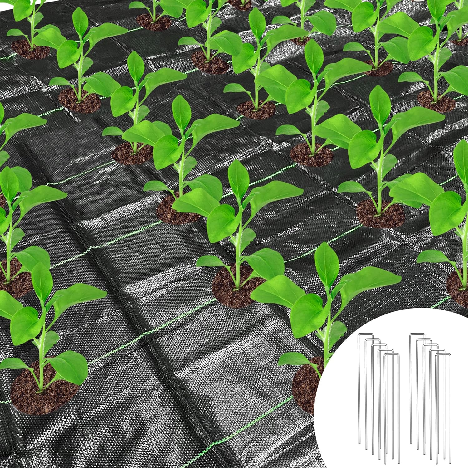 2x4M Weed Control Membrane with Holes, Weed Barrier, Landscape Fabric with Plant...