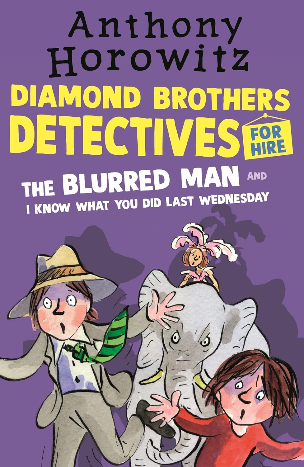 The Diamond Brothers in The Blurred Man & I Know W...