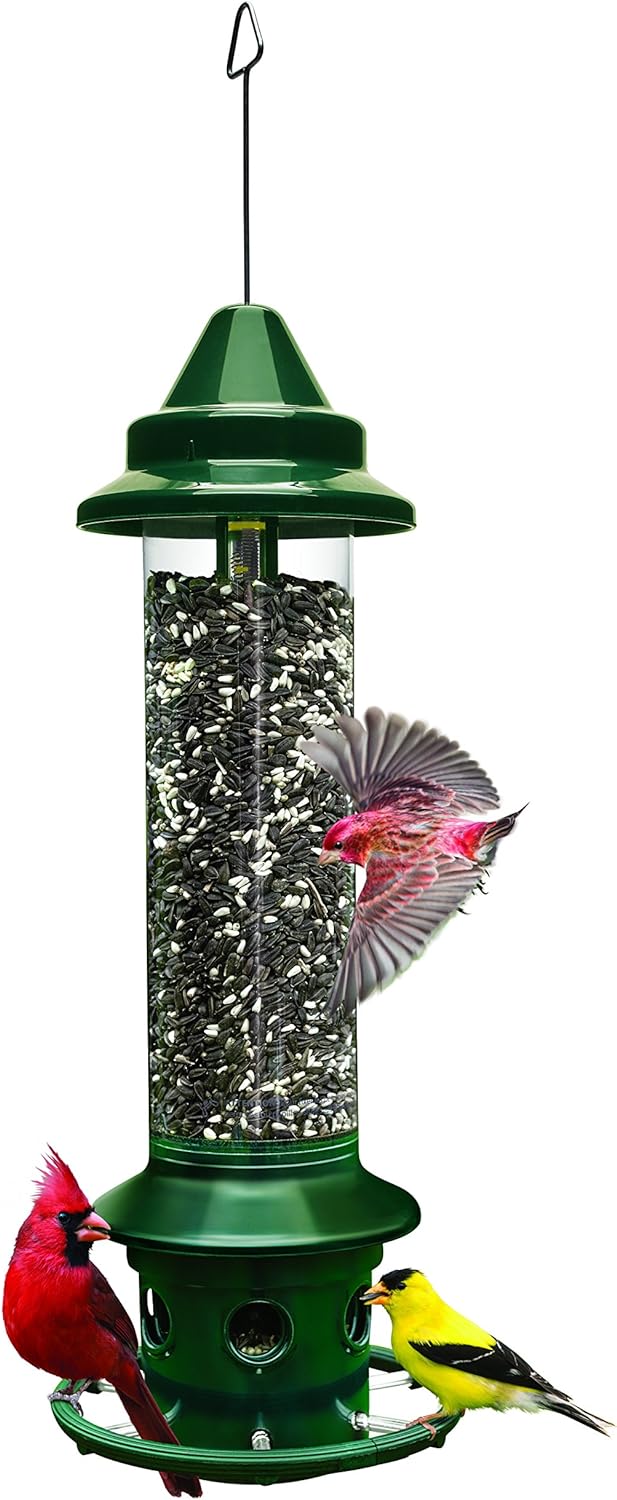 Jacobi Jayne 1024-V01 Feeder Buster Plus-Marauders Off Guaranteed Squirrel and L...