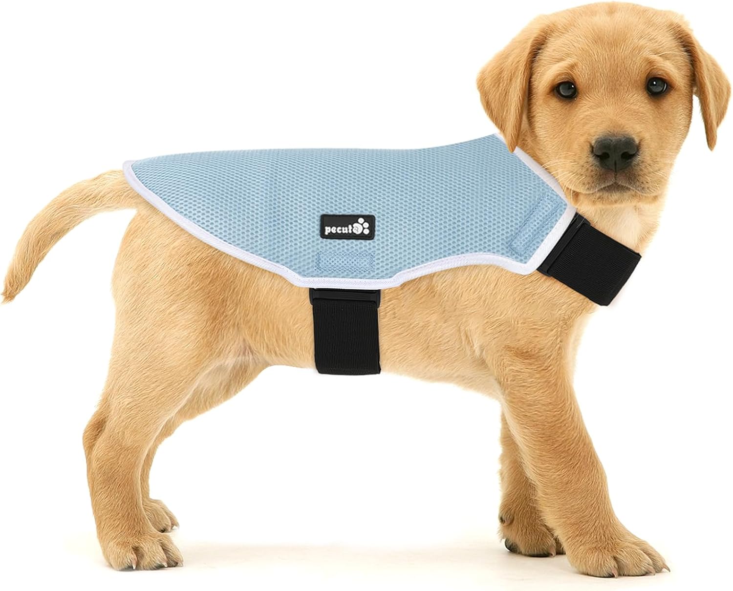 Pecute Dog Cooling Coat, Summer Cooling Vest for Puppy Sun Protection, 5 Layer E...