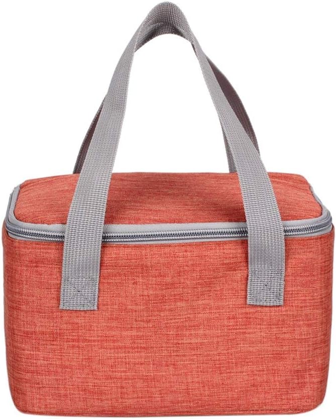 Panlom® 6 Can/4 L Small Cool Bag Handy Square Lunch Bag Insulated Lunch Box for...