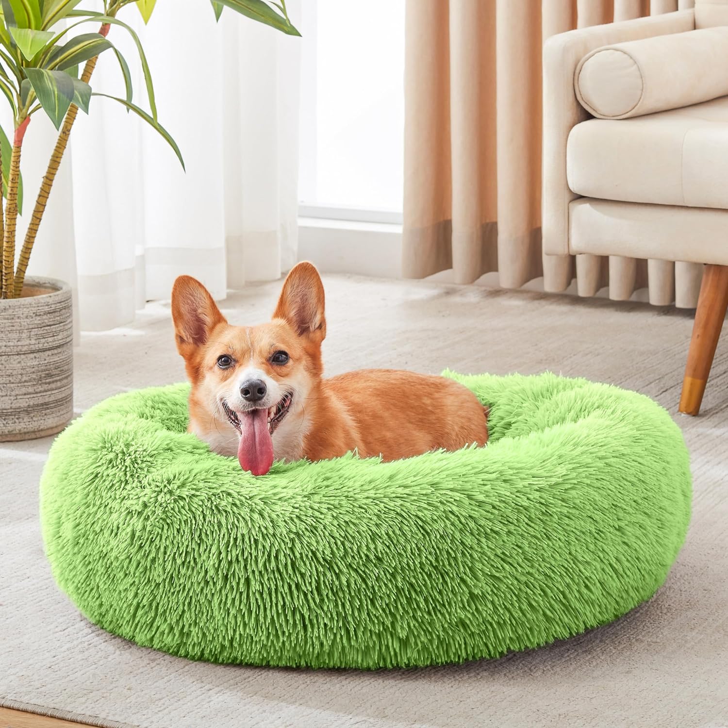 WESTERN HOME WH Calming Dog Bed & Cat Bed, Anti-Anxiety Donut Dog Cuddler Bed, W...