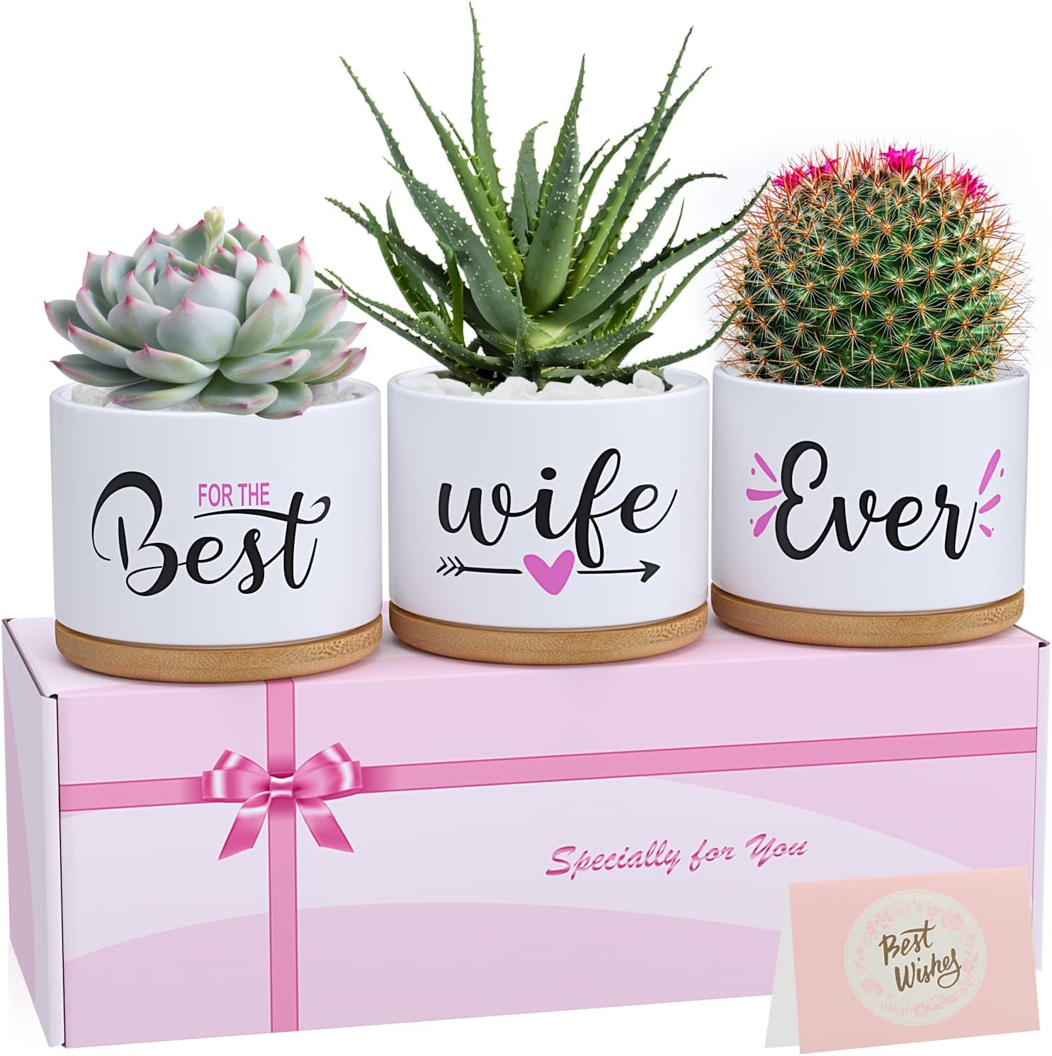 Valentines Day Birthday Gifts for Wife from Husband, Unique Anniversary Wedding...
