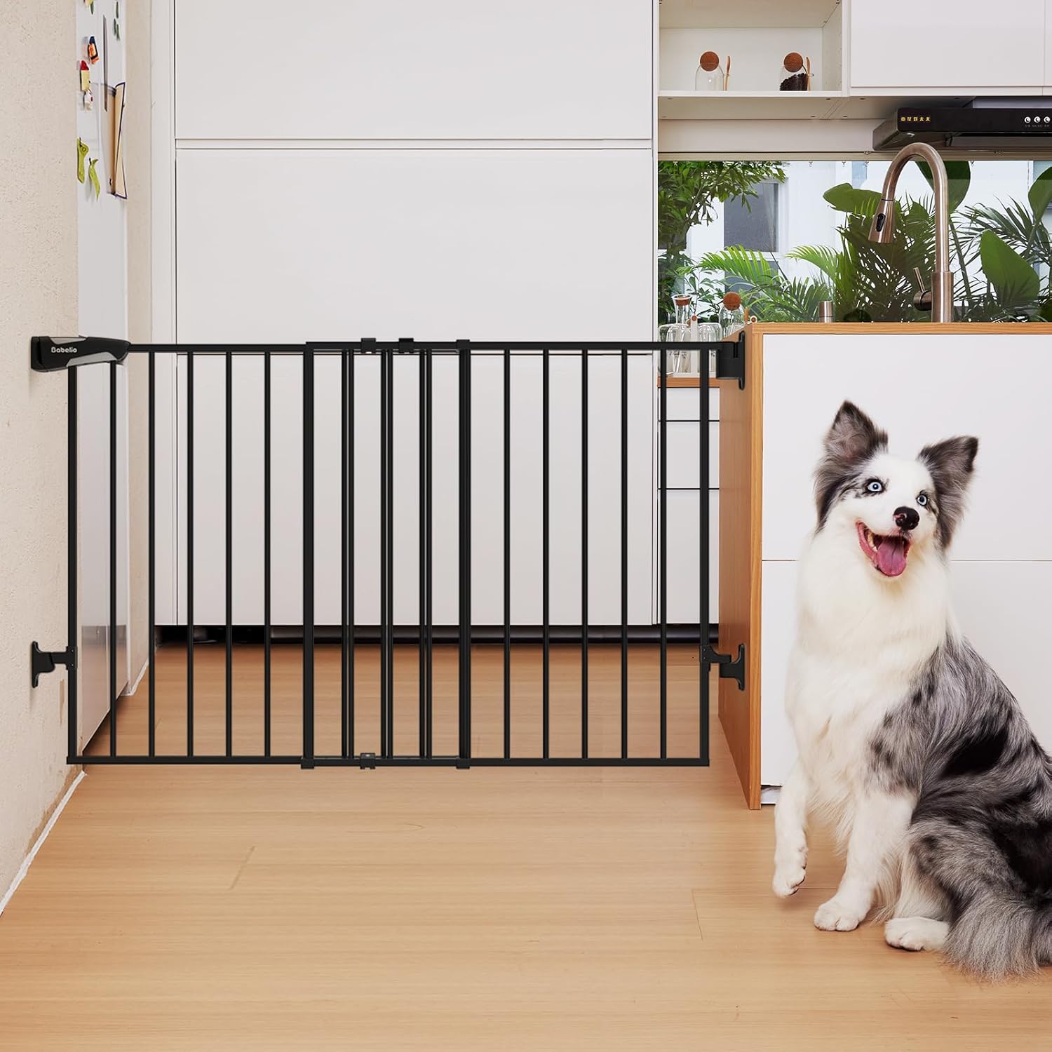 Babelio 31.5-55" No Bottom Bar Baby Gate Extra Wide, 2-in-1 Auto Close Dog Gate...