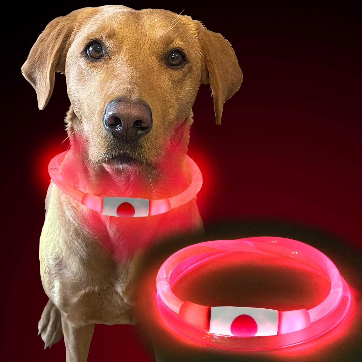 MURR Dog Light Up Collar | Flashing Dog Collar | Dog Collar Light | Rechargeable...