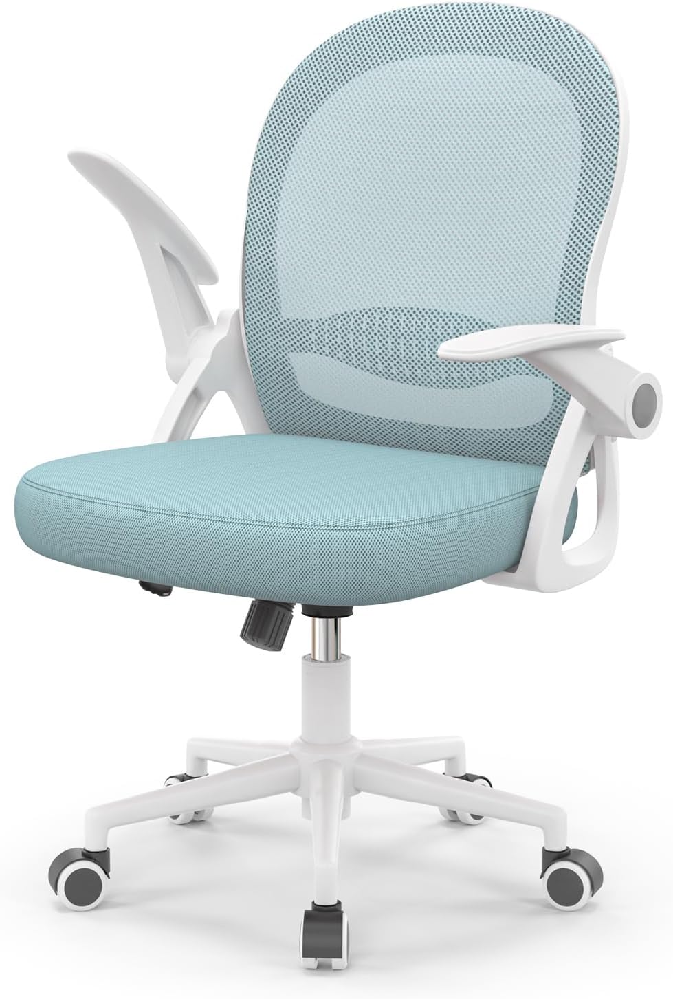 naspaluro Home Office Chair Ergonomic Desk Chair S...