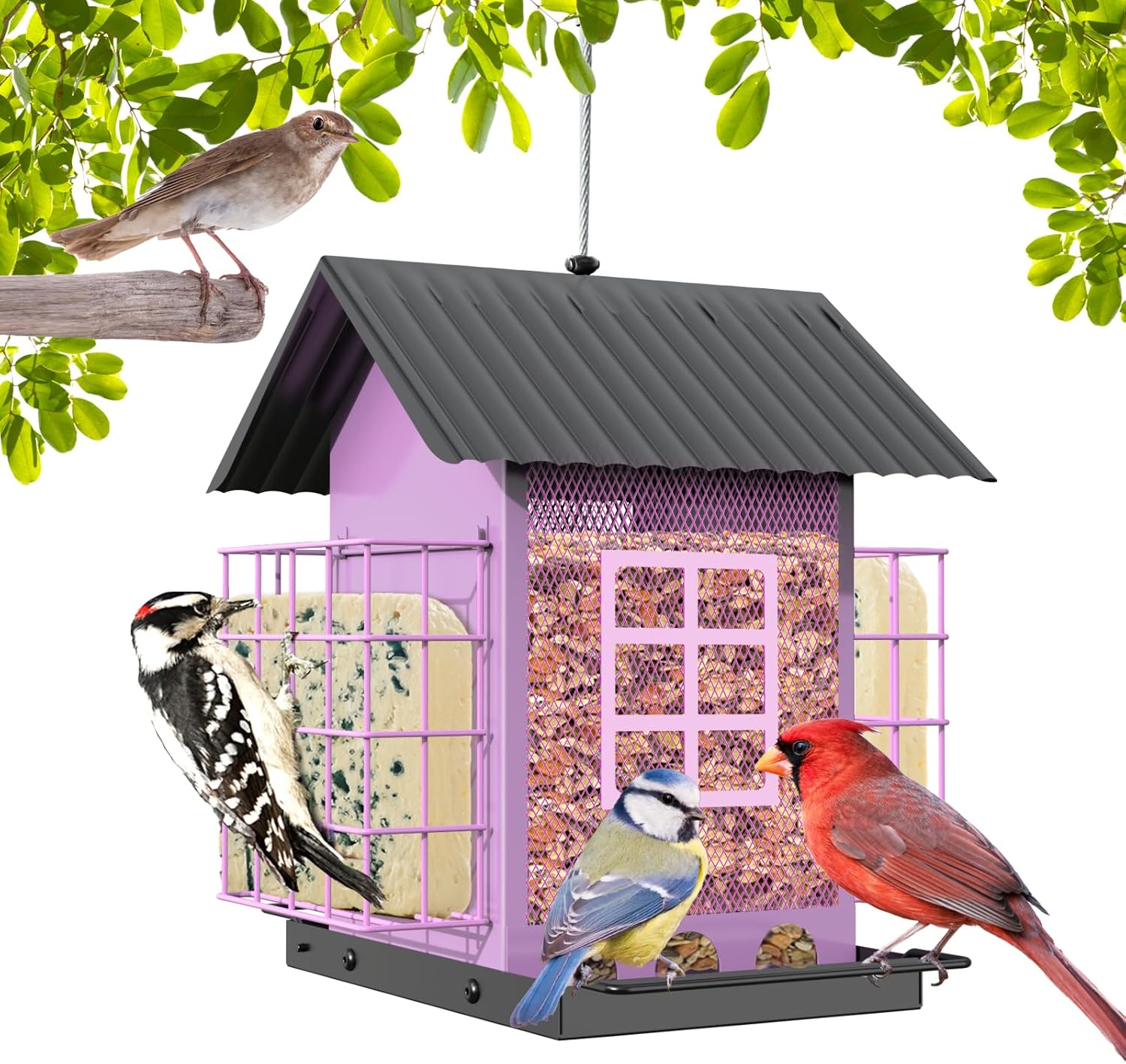 Metal Bird Feeder, Bird Feeders for Outdoors Hanging, Innovative Bird Feeder wit...