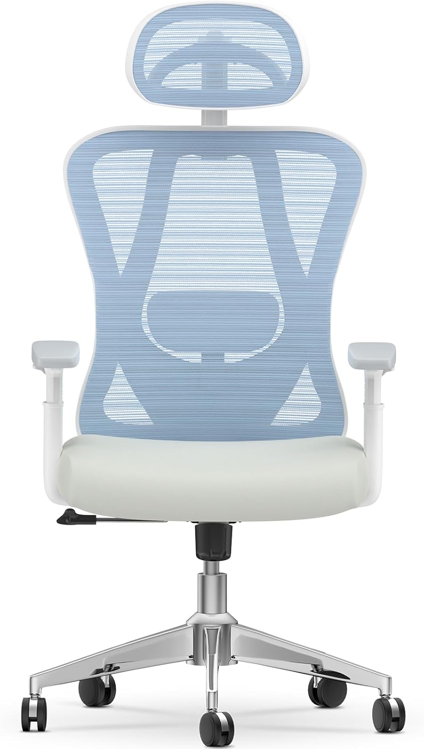 rattantree Office Desk Chair, Special Ergonomic Office Chair with 2D Lumbar Supp...