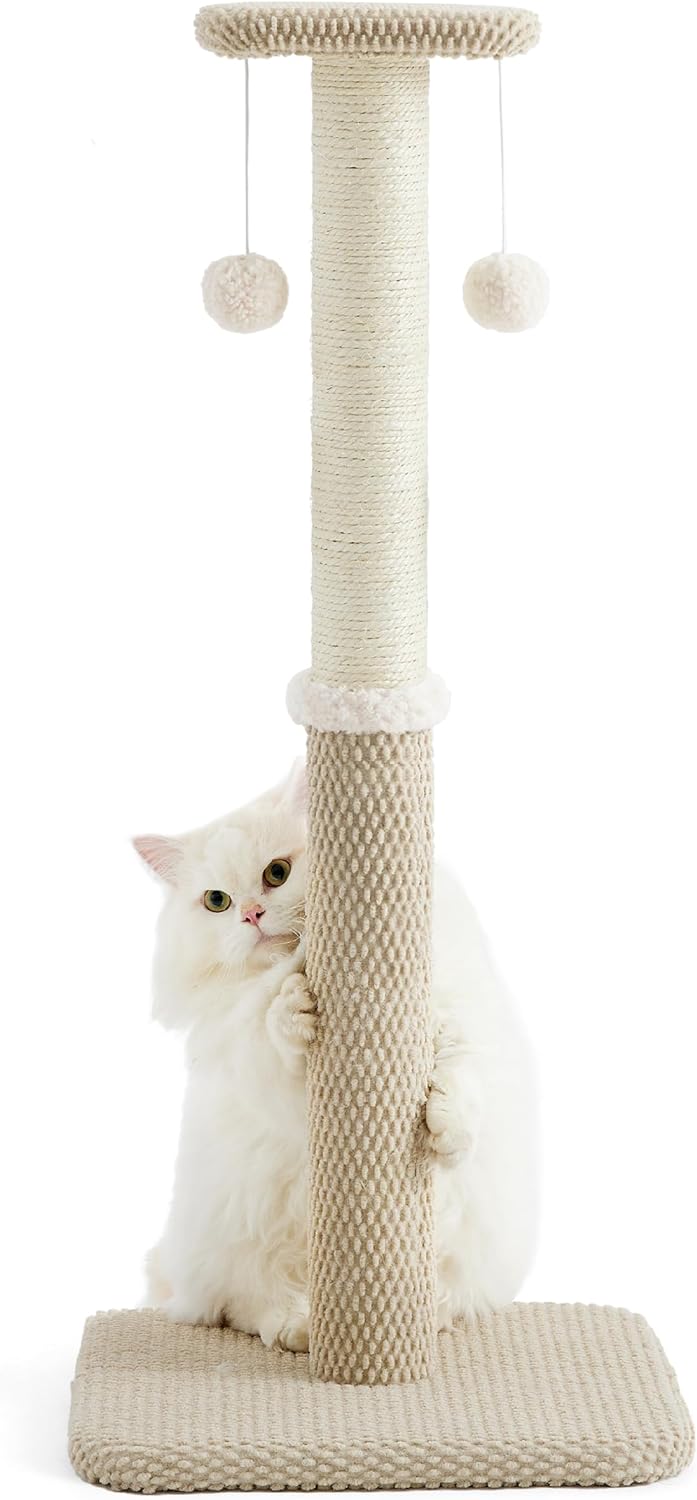 Lesure Cat Scratching Post, Premium Tall Cat Scratching Post for Indoor Cats, In...