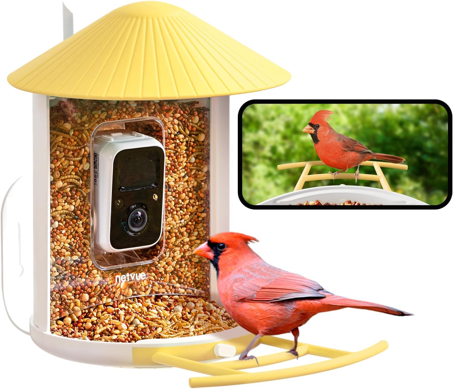 NETVUE Birdfy® Smart Bird Feeder Camera, Bird Watching Camera Auto Capture Birds...