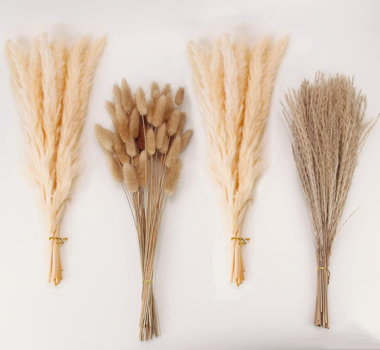 Natural Dried Pampas Grass Decor, Beige Pampas Grass, Bunny Tails Dried Flowers,...