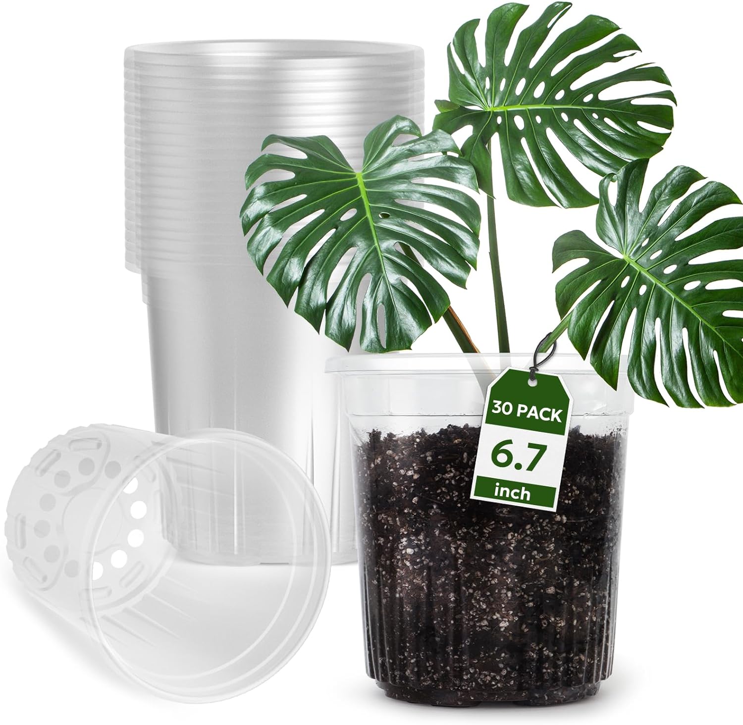 1 Gallon Reinforced Clear Nursery Pots with Drainage Hole, 30 Packs, 6.7 Inch Tr...