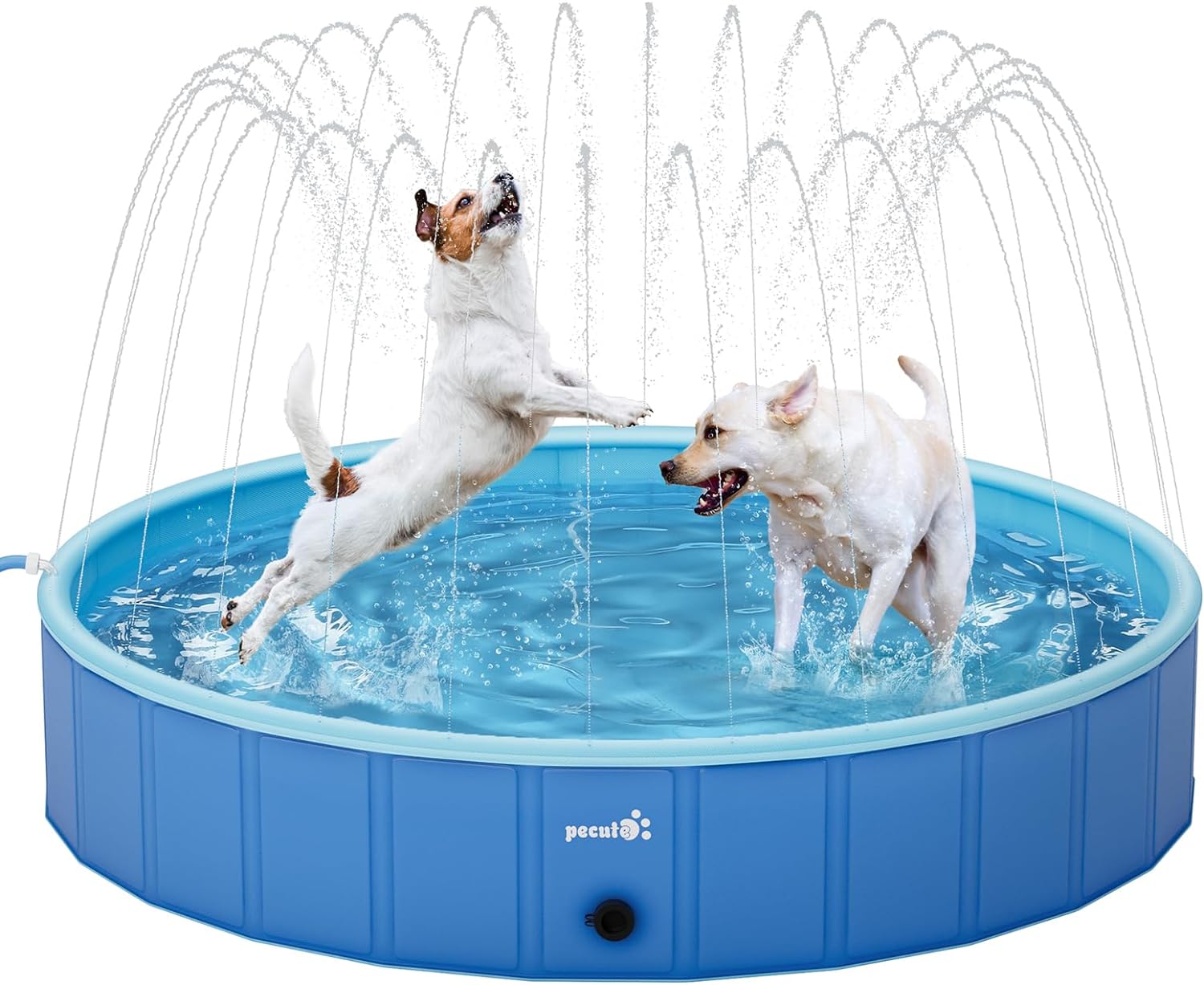 Pecute Paddling Pool for Pet with Sprinkler, Sturdy Foldable Dog Swimming Pool B...