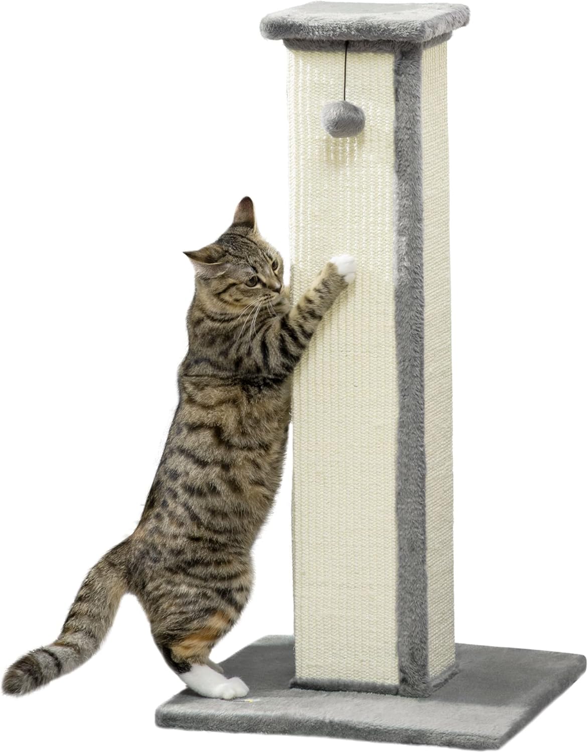 PawHut Cat Scratching Post for Indoor Cats, 81cm Cat Scratcher, Vertical Full Sc...