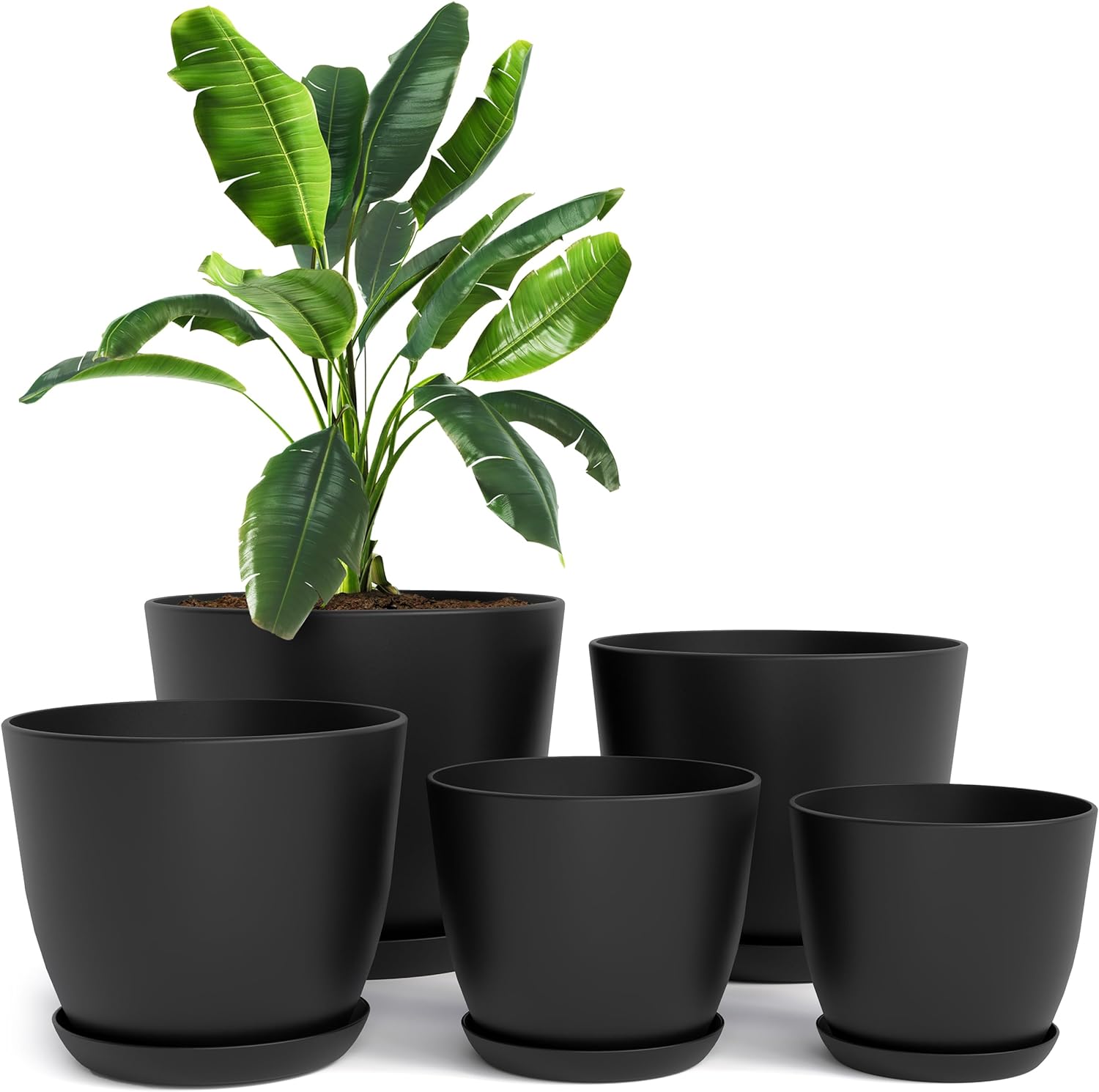 Utopia Home Plant Pots, Special Indoor Garden Decor with Drainage, Unique Flower...