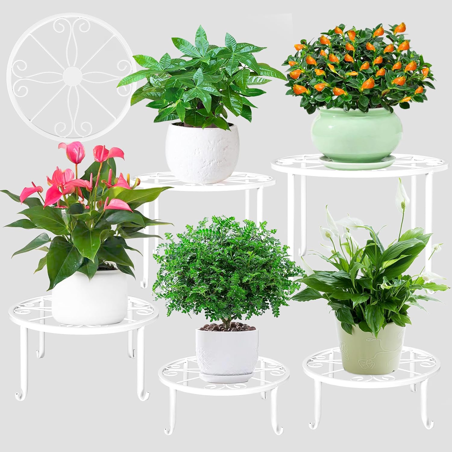 Plant Stands, Special 5 Pack White Metal Plant Stand, Innovative Stand for Outdo...