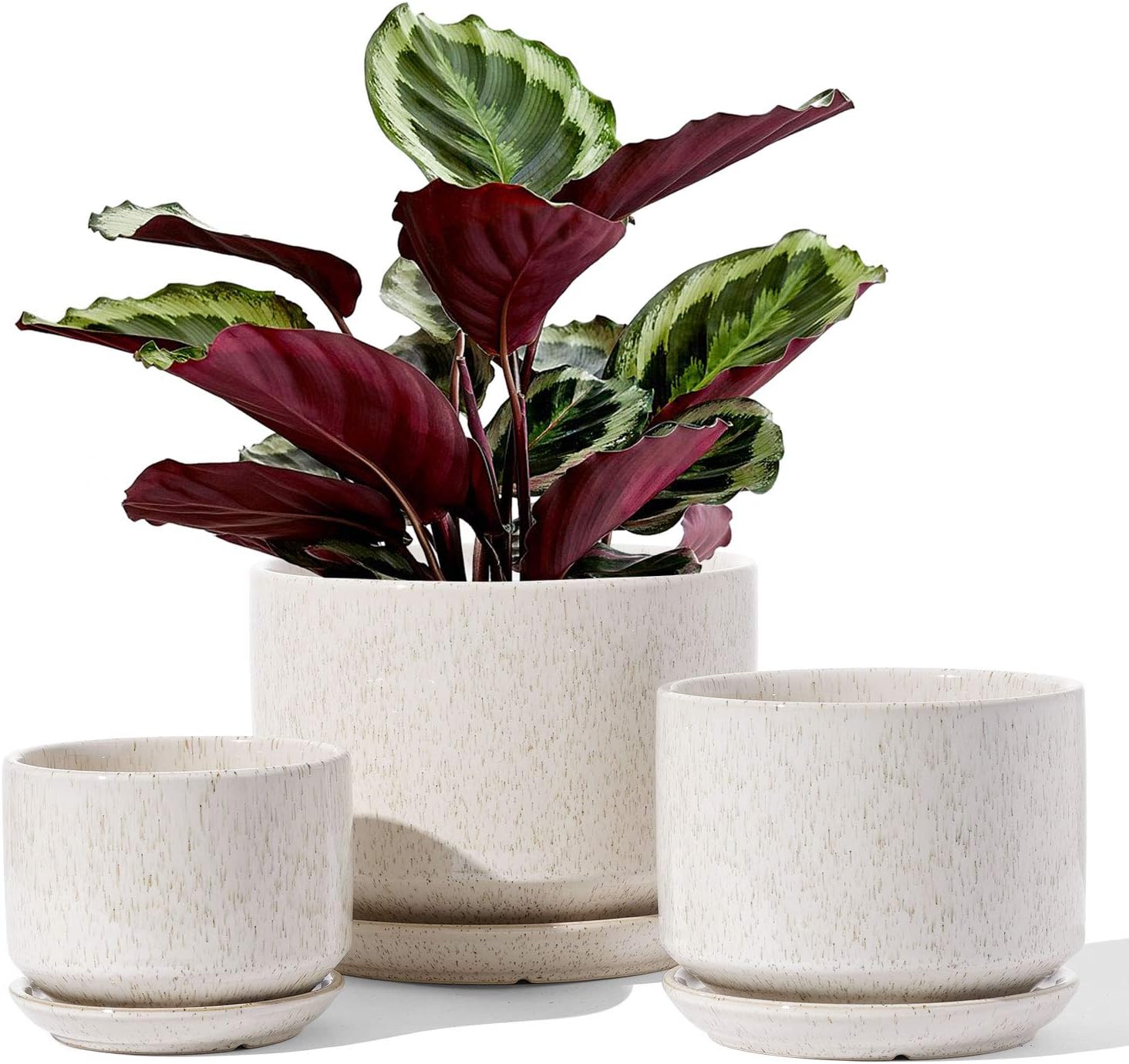LE TAUCI Ceramic Plant Pots, 4.3+5.3+6.8 inch, Set of 3, Planters with Drainage...
