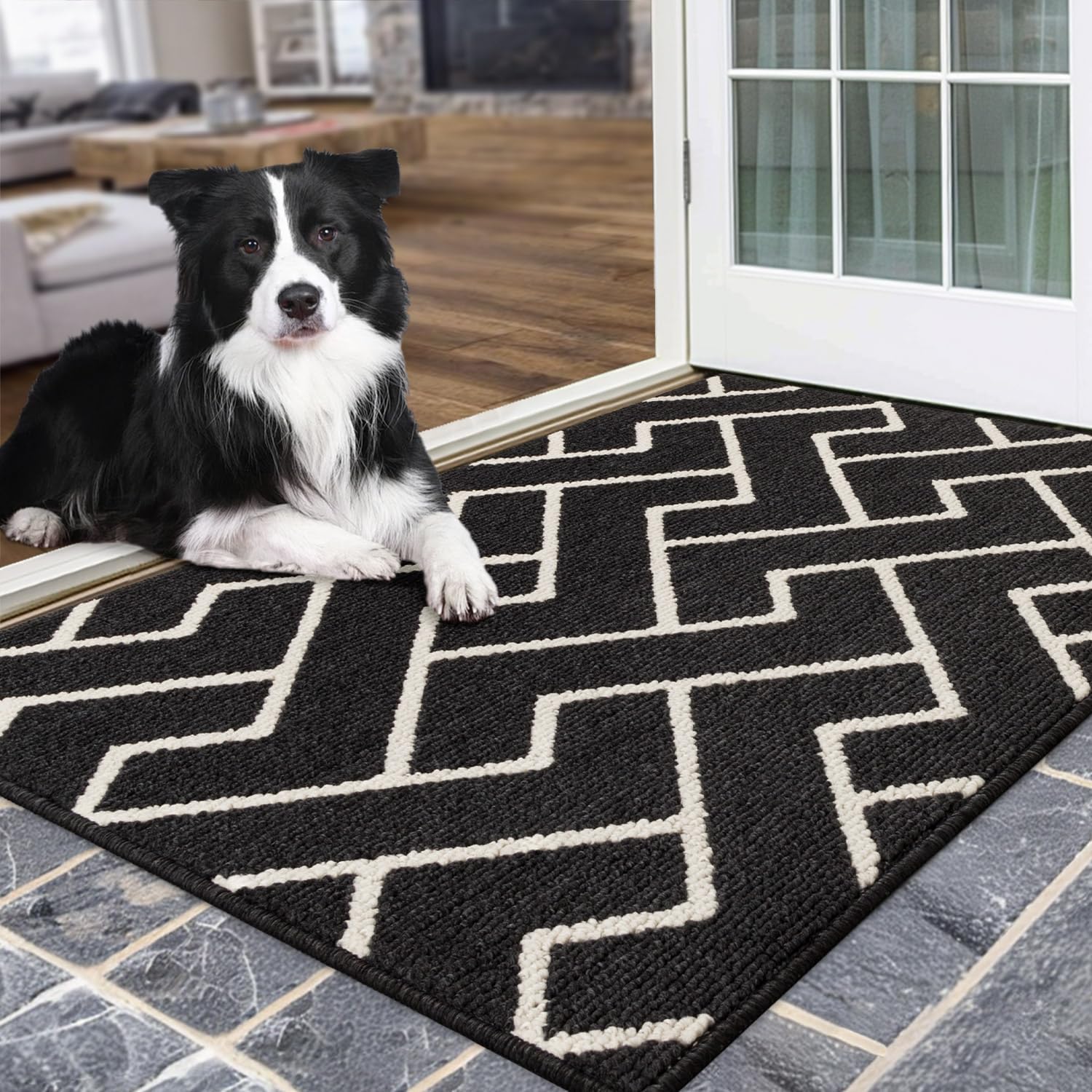 Hicorfe Indoor Doormat, Special Front Back Door Mat With Rubber Backing, Innovat...