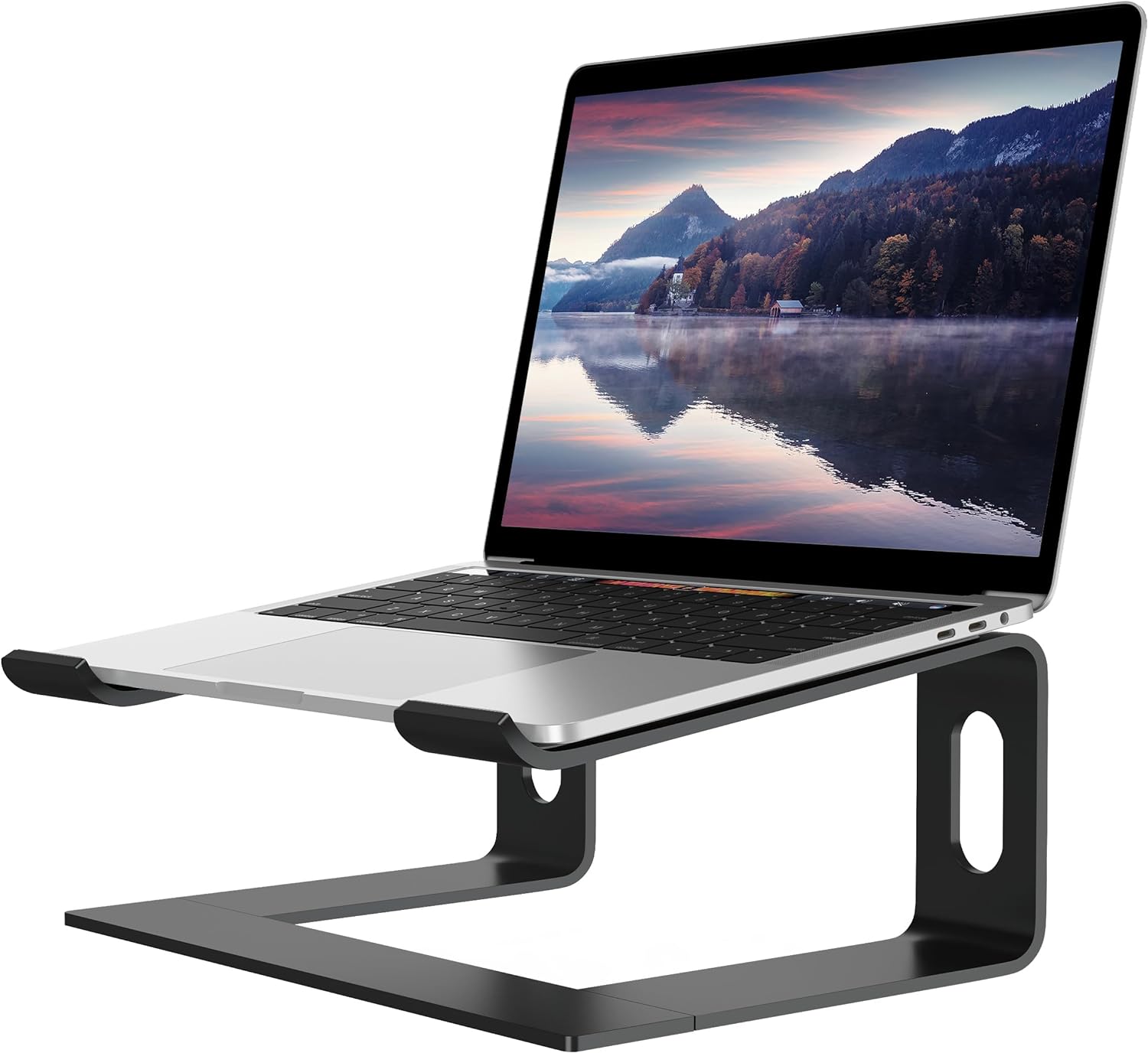 ALASHI Laptop Stand for Desk, Aluminum Computer Riser, Ergonomic Notebook Holder...
