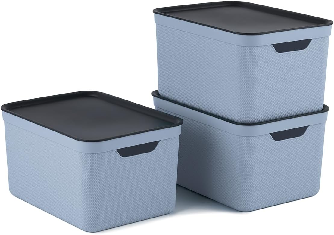 Rotho Jive Dekobox Set of 3 storage boxes 16l with lid, Plastic (PP recycled), b...