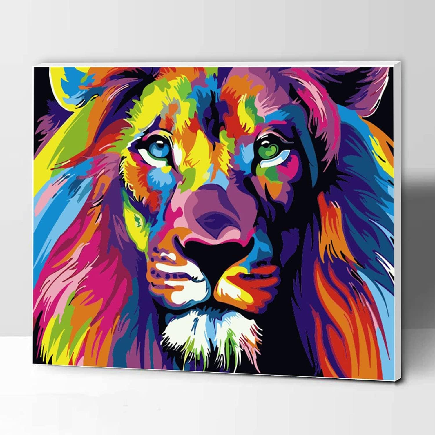 KOMKING Paint by Number Kit for Kids and Adults, Special DIY Acrylic Painting by...