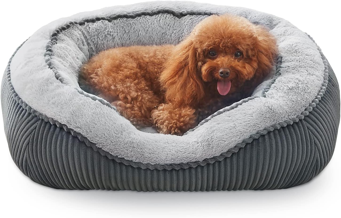 SIWA MARY Dog Beds for Small Medium Large Dogs & Cats. Washable Pet Bed, Orthope...
