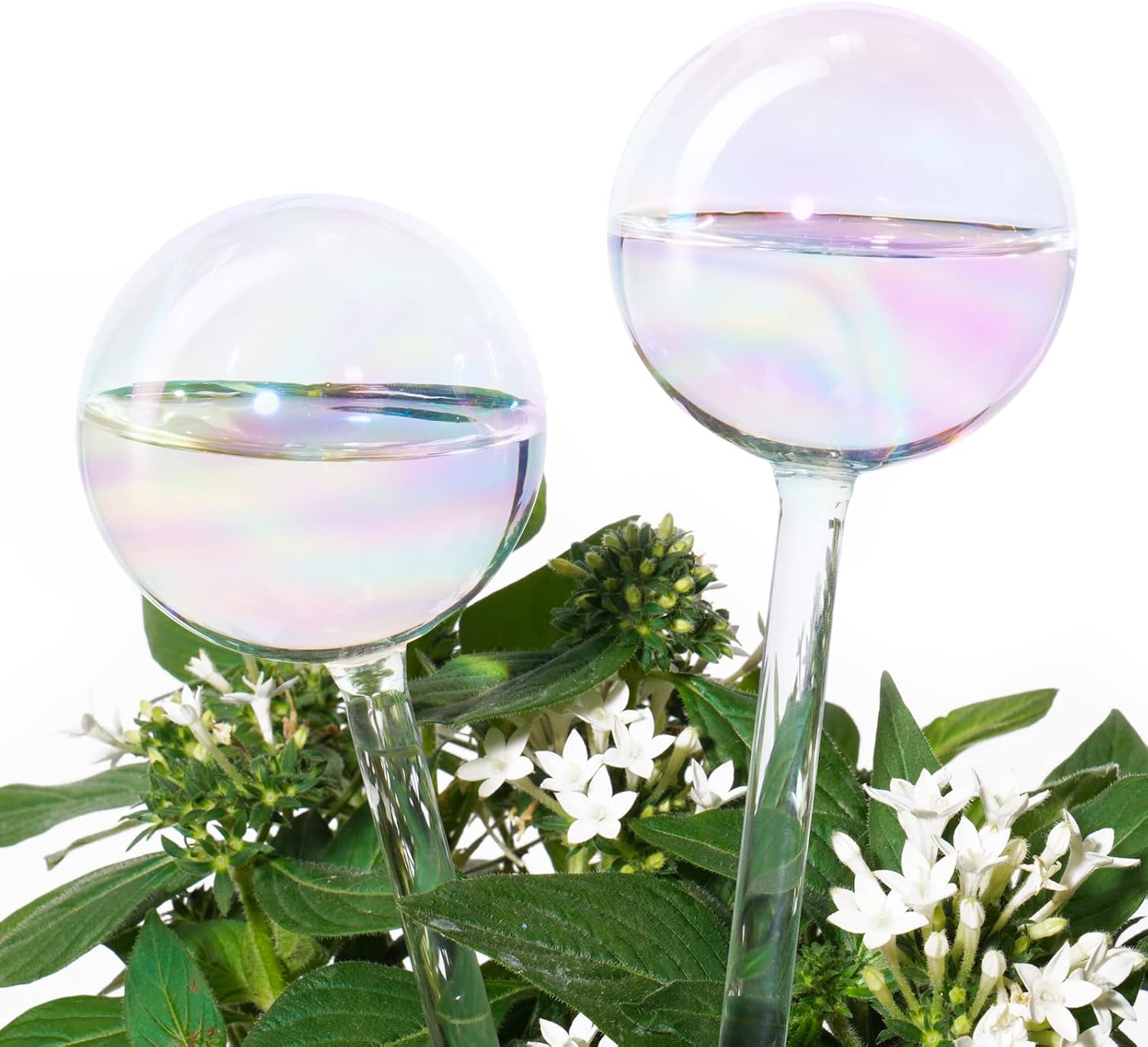 Light Iridescent Rainbow Gradient Color Clear Glass Self-Watering System Spikes,...