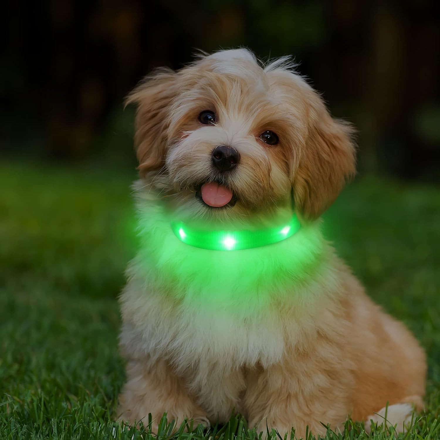 Light Up Dog Collar, Rechargeable LED Dog Collar for Puppy, Super Bright Dog Col...