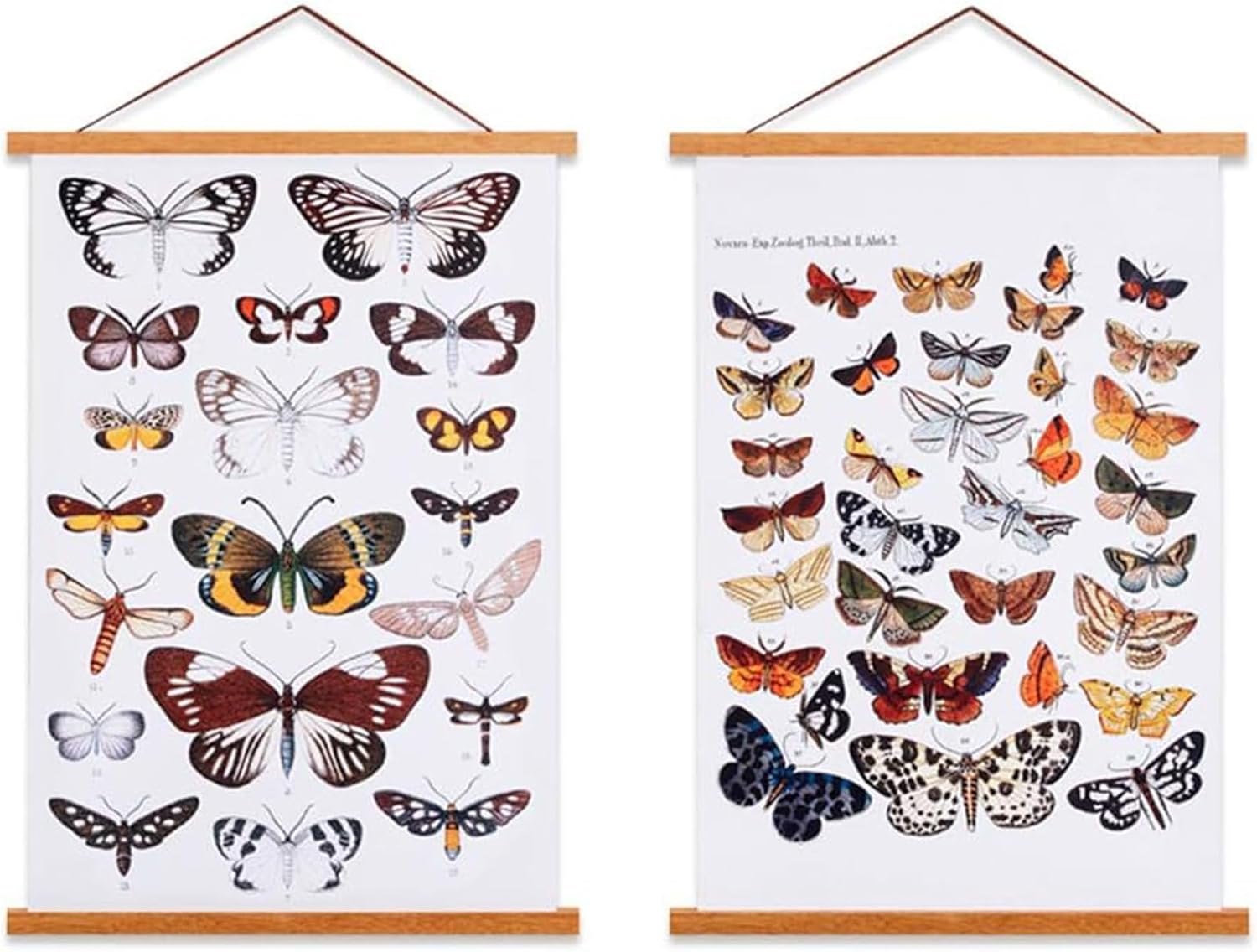 Ywlake Magnetic Poster Frame, Special Wooden Poster Hangers for Art Lovers, Inno...