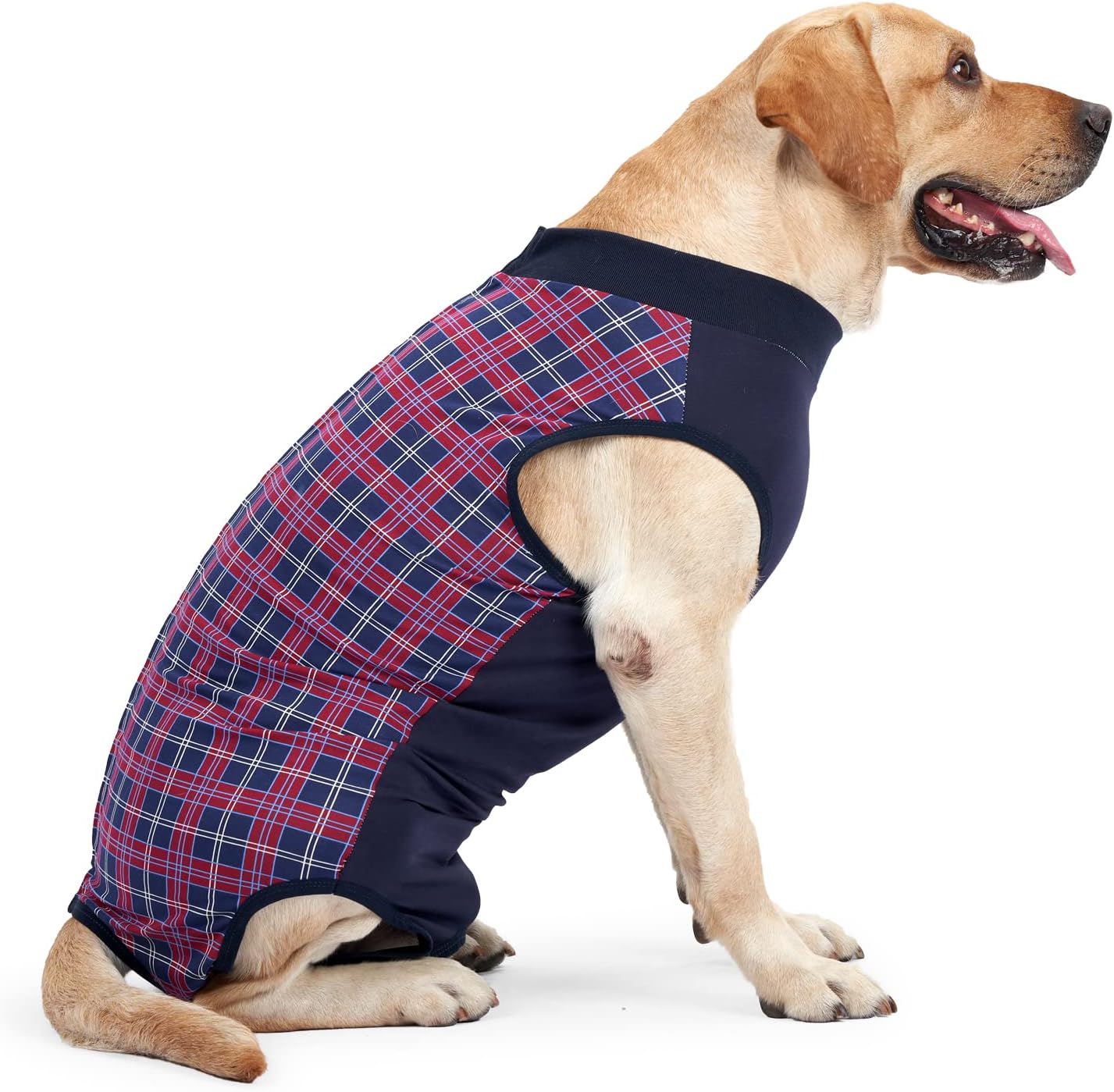 HEYWEAN Dog Recovery Suit, Special Spay Suit for Female Dog, Innovative Bodysuit...