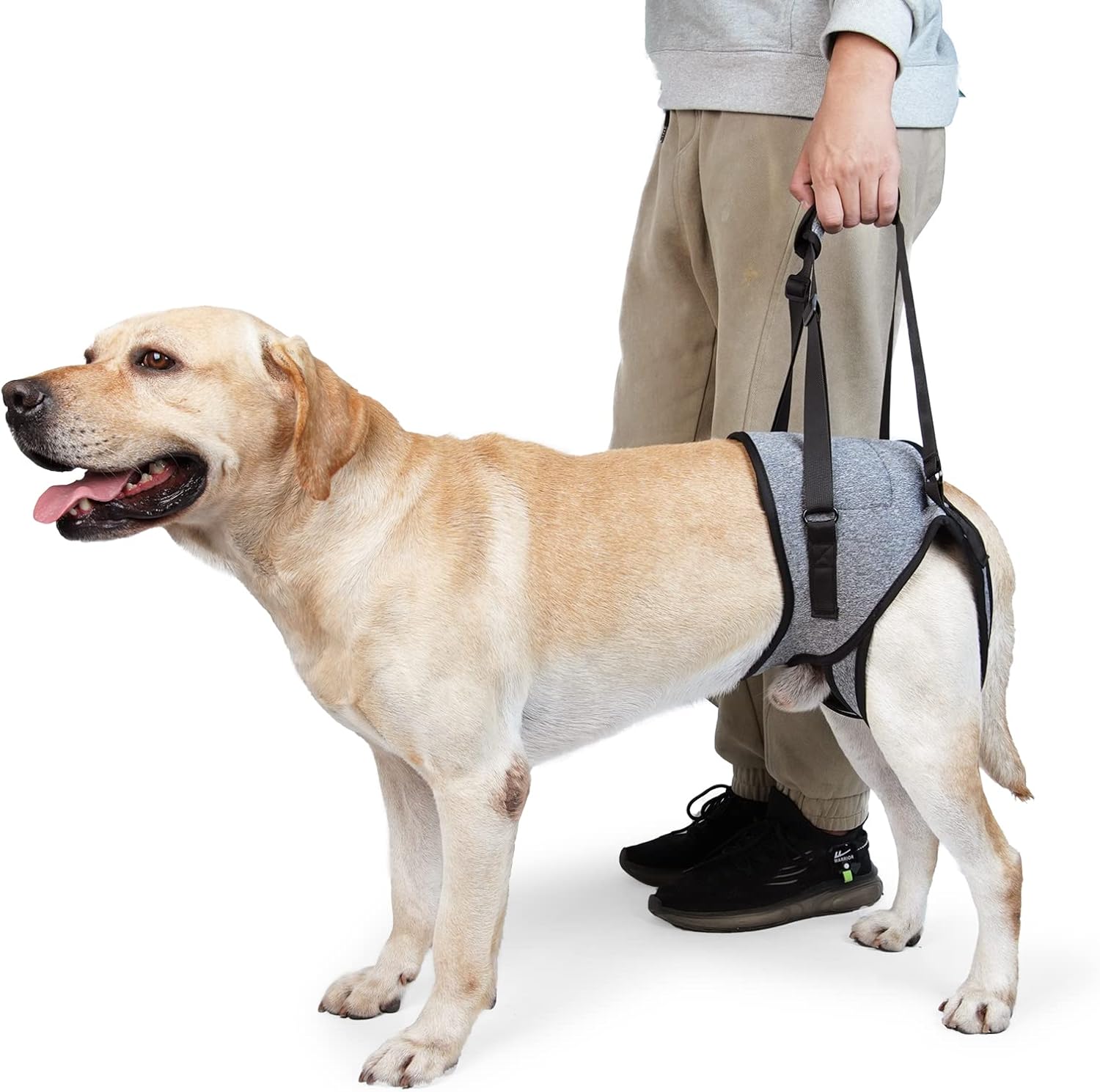 Dotoner Dog Lifting Harness, Special Dog Support Harness for Back Legs, Innovati...