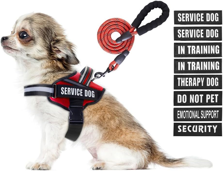 Service Dog Vest Harness and Leash Set, Animire in Training Dog Harness with 10...