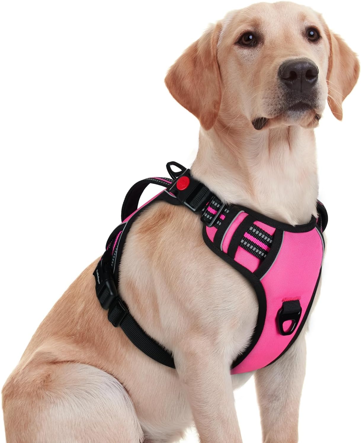 rabbitgoo Dog Harness, Special No Pull Pet Harness with Soft Padded Handle, Inno...