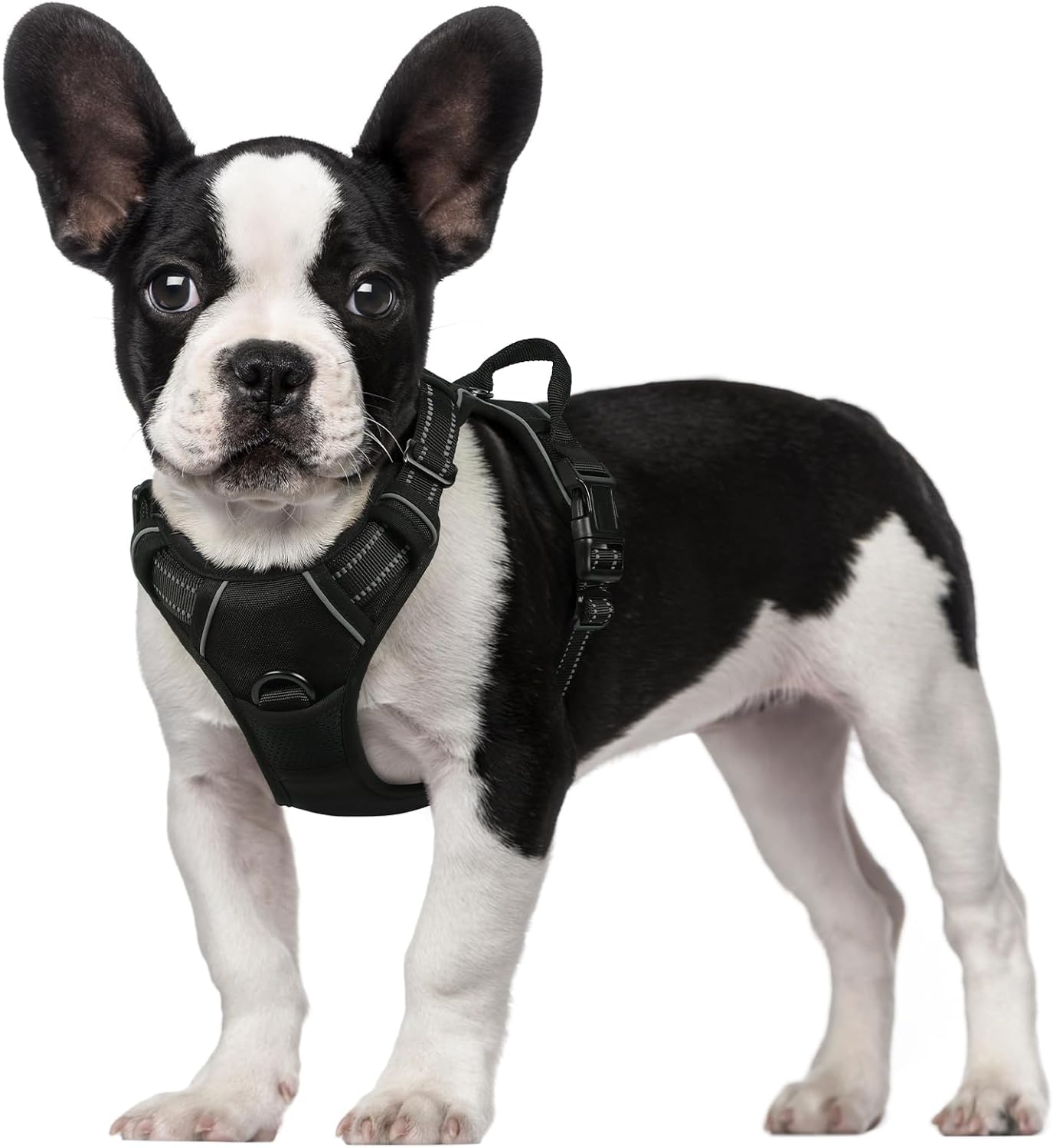 rabbitgoo Dog Harness, Unique No-Pull Pet Harness with 2 Leash Clips, Special Ad...