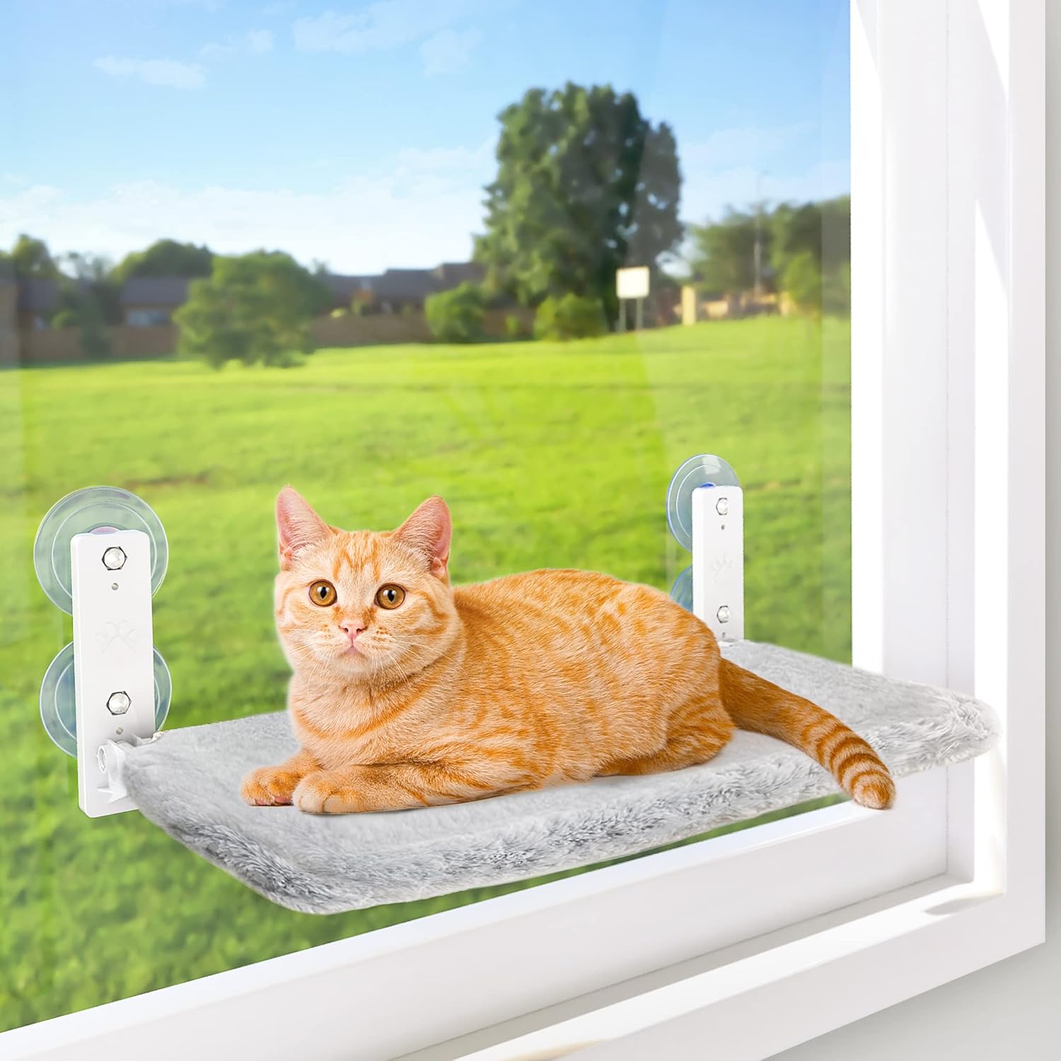 AMOSIJOY Cordless Cat Window Perch, Cat Hammock with 4 Suction Cups, Solid Metal...
