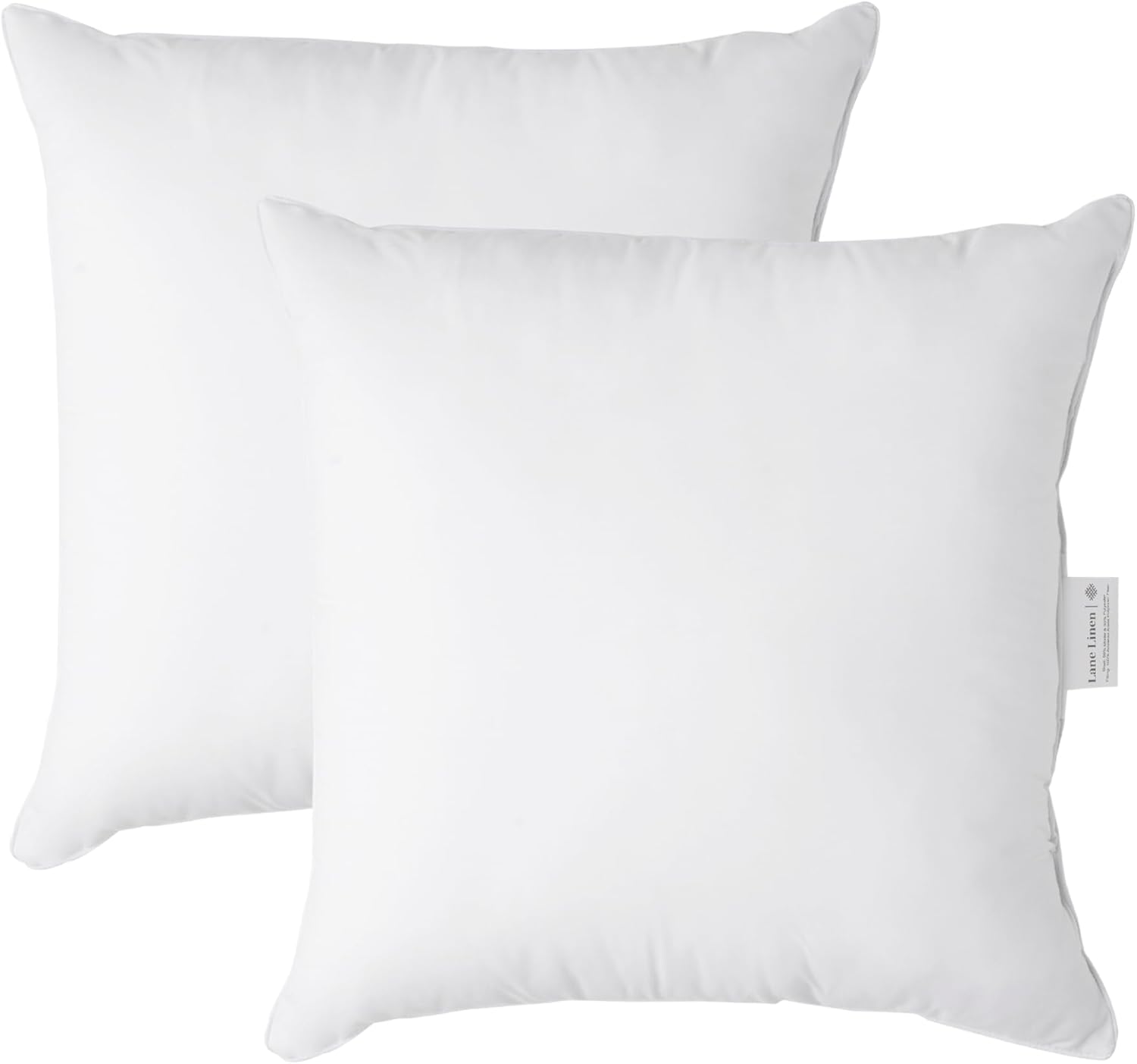 LANE LINEN Pillow Inserts, Special Pillow Inserts for Sofa Bed, Unique Fluffy Pi...
