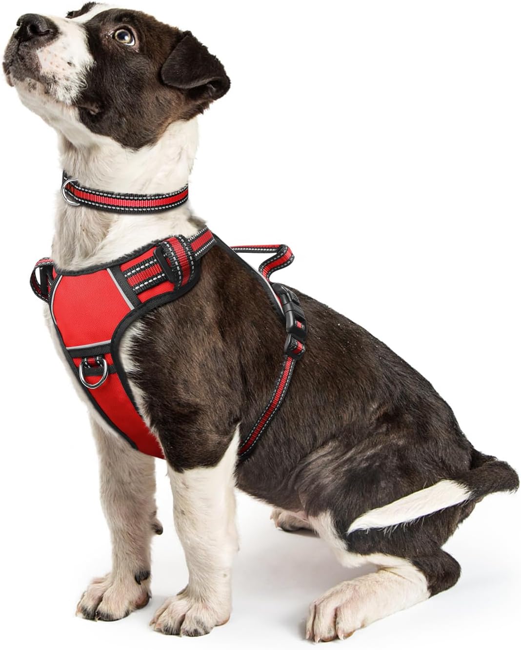 WINSEE Dog Harness No Pull, Pet Harnesses with Dog Collar, Adjustable Reflective...