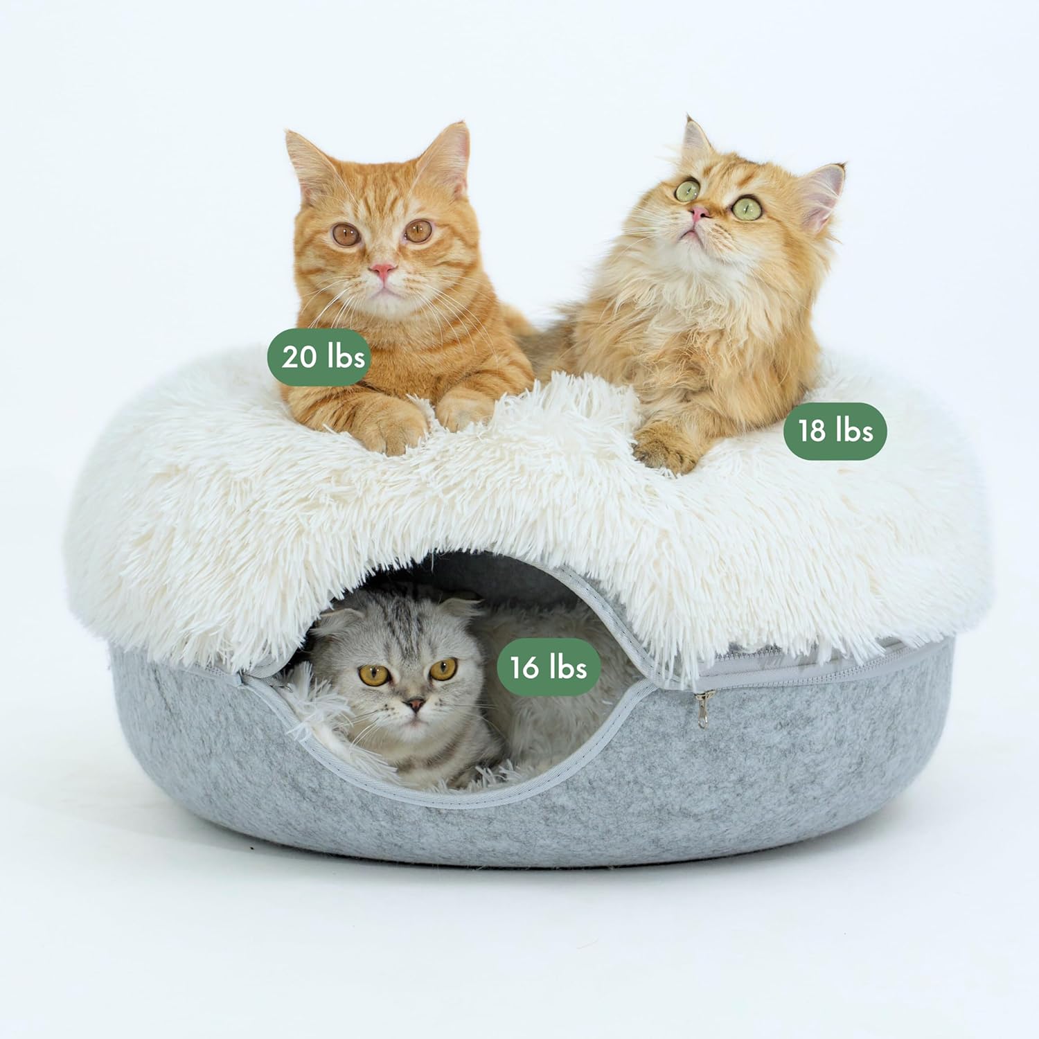 CATTASAURUS Peekaboo Cat Cave for Multiple & Large Cats Up to 30-45 Lbs, Scratch...