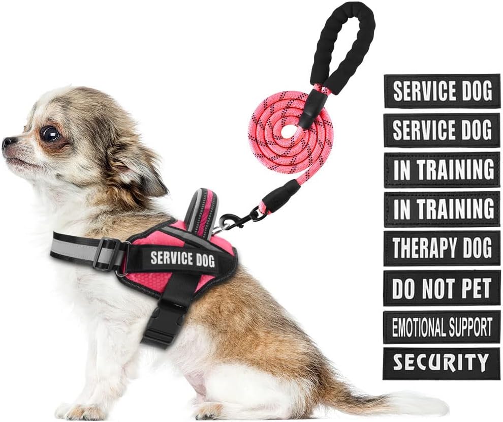 Service Dog Vest Harness and Leash Set, Animire in Training Dog Harness with 10...