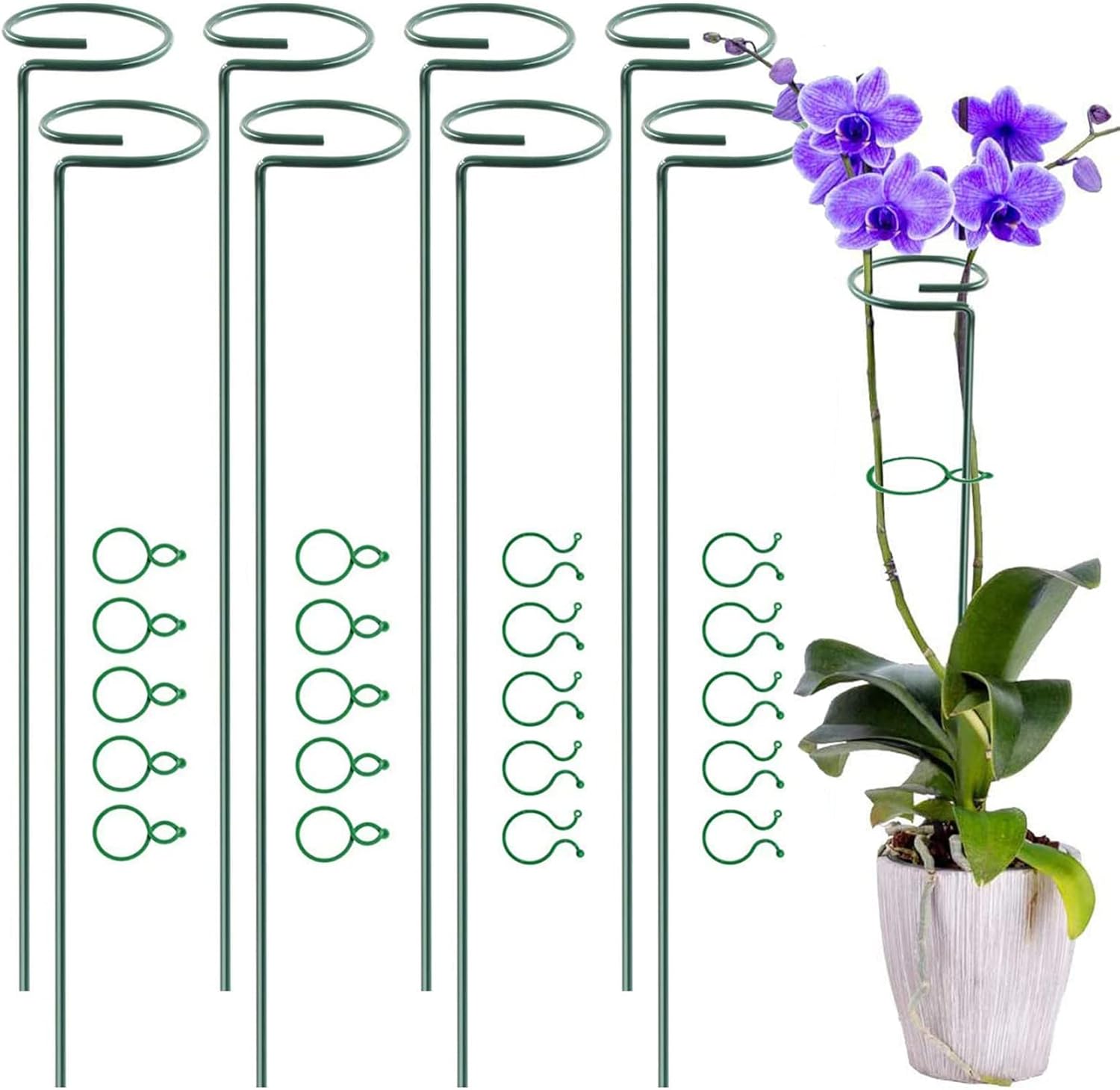 Plant Support Stakes, POTWPOT 8pcs 40cm Garden Single Stem Support Stake Amaryll...