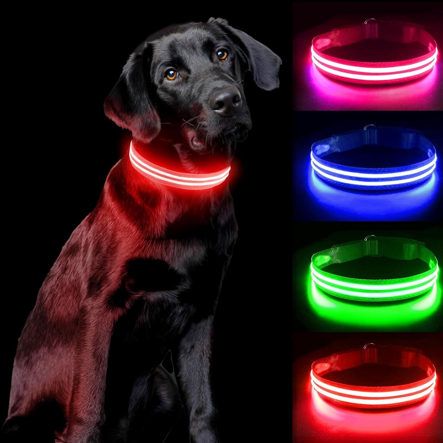 PcEoTllar Light Up Dog Collar, Special Rechargeable LED Dog Collar Light for Nig...