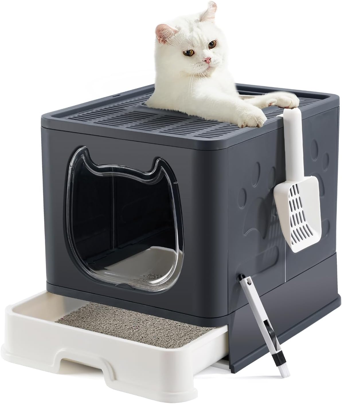 Pawsayes Cat Litter Tray Litter box with Lid for Medium and Small Cats, Foldable...