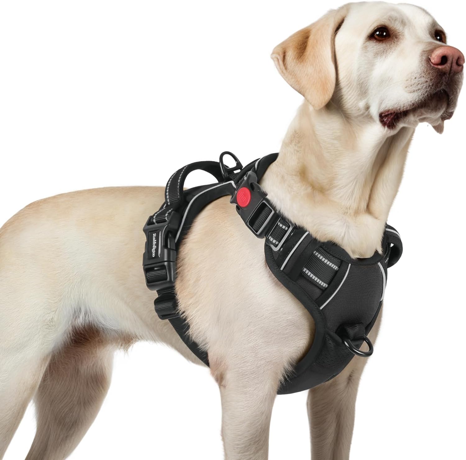 rabbitgoo Dog Harness, Special Dog Harness with Neck Release Buckle, Innovative...