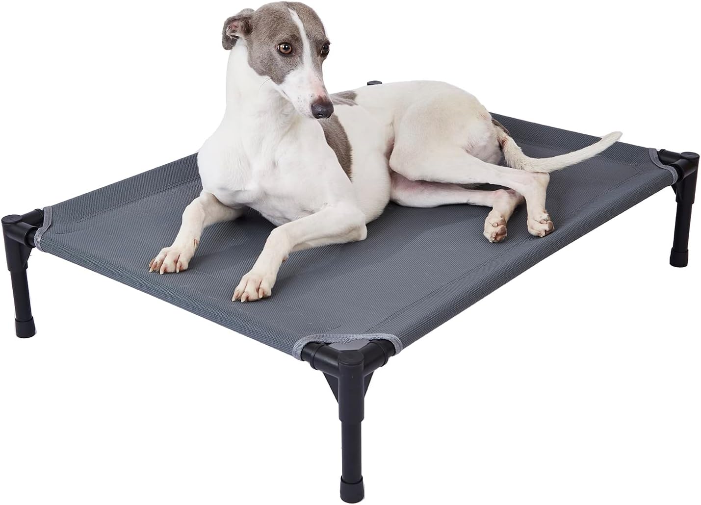 pettycare Elevated Outdoor Dog Bed - Dog Cots beds for Medium Dogs, Heavy Duty R...
